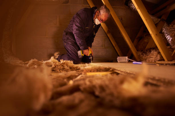 Insulation Repair Services in Willow Oak, FL